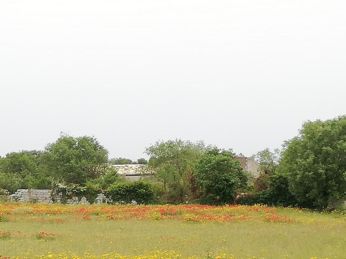 Agriturismo Fondo Paliemmu Modica Kültér fotó