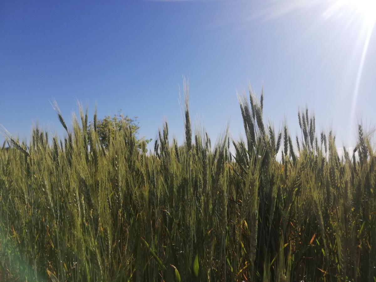 Agriturismo Fondo Paliemmu Modica Kültér fotó