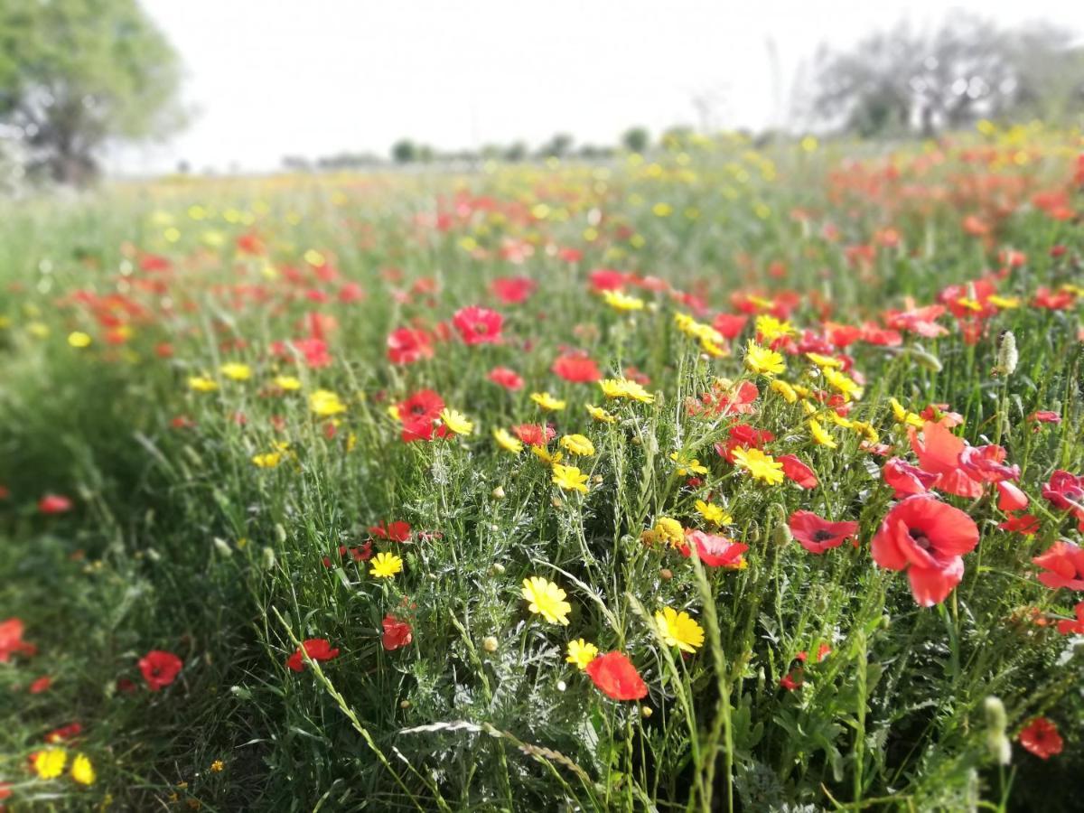 Agriturismo Fondo Paliemmu Modica Kültér fotó